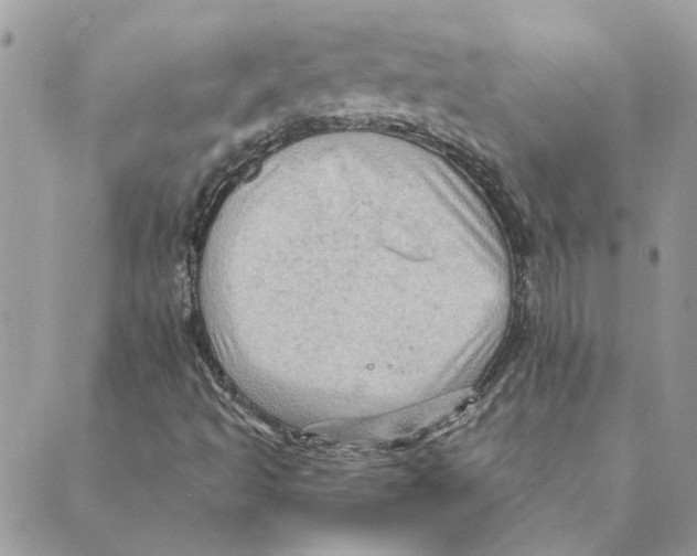 X0000088831493200707051409