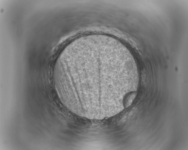 X0000088831494200707051409