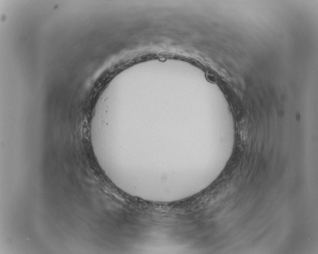 X0000088831495200707051409