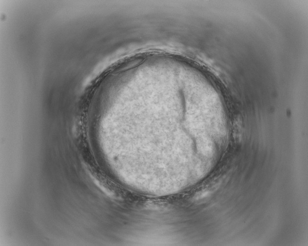 X0000088831496200707051409