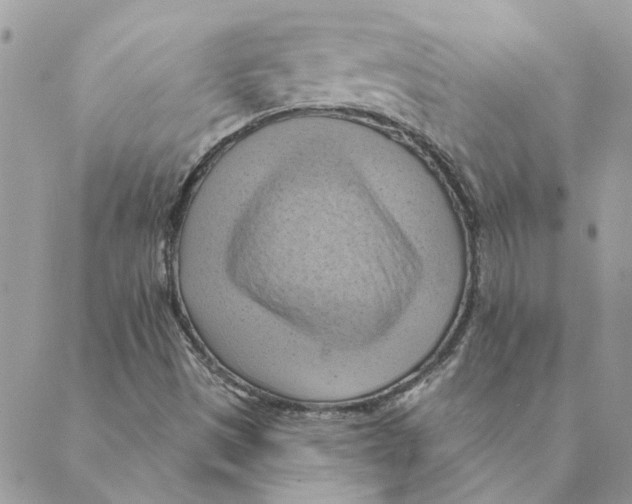 X0000088831497200707051409