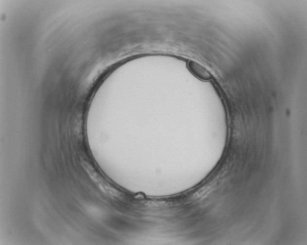 X0000088831499200707051409