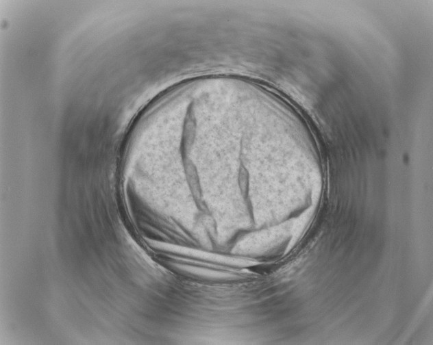 X0000088831500200707051409