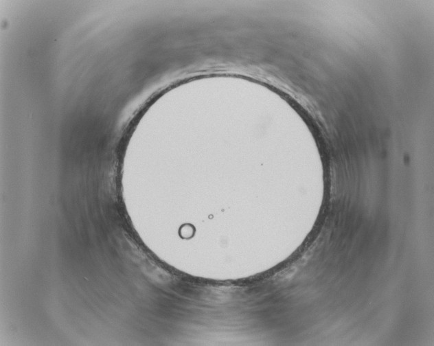 X0000088831502200707051409