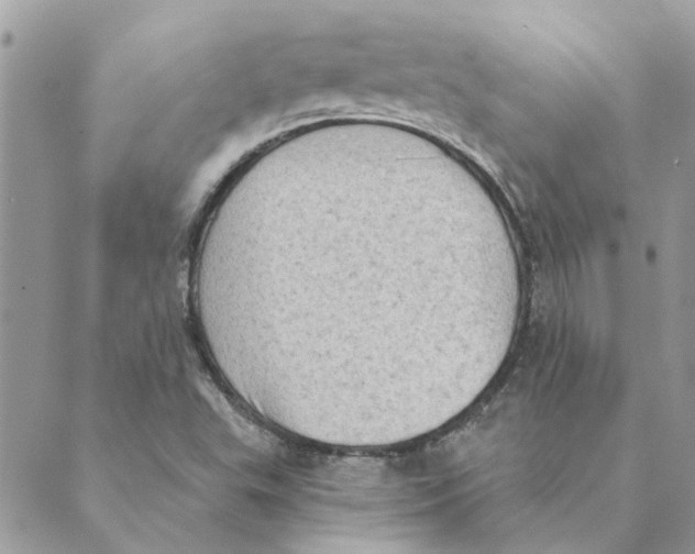 X0000088831503200707051409