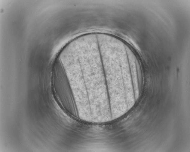 X0000088831504200707051409