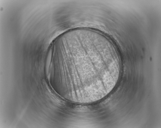 X0000088831505200707051409