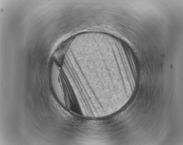 X0000088831506200707051409