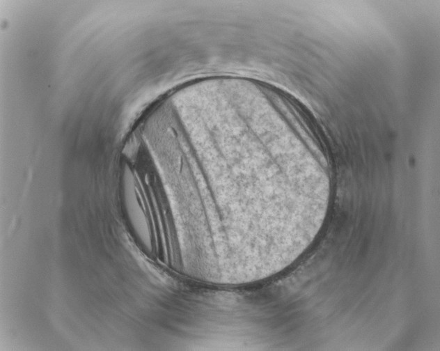 X0000088831507200707051409