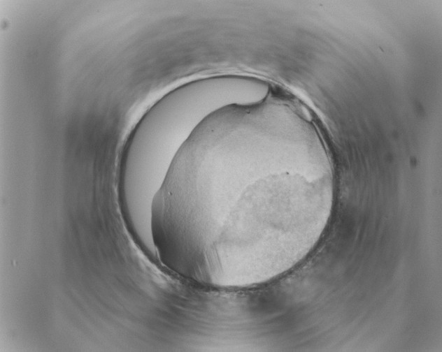 X0000088831508200707051409