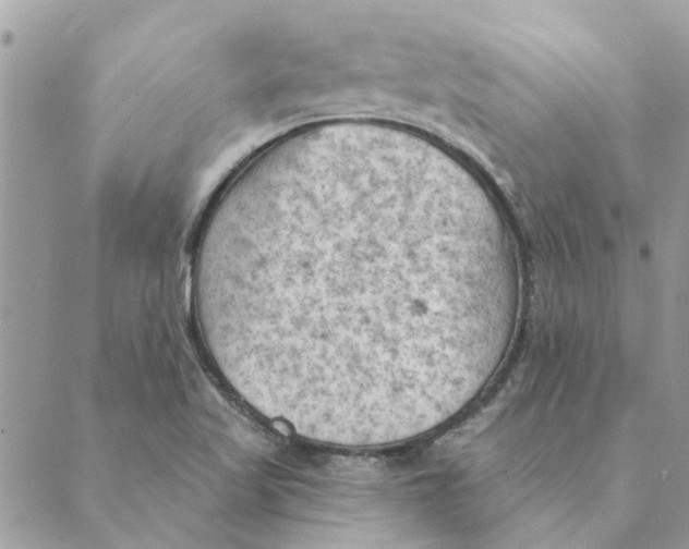 X0000088831509200707051409