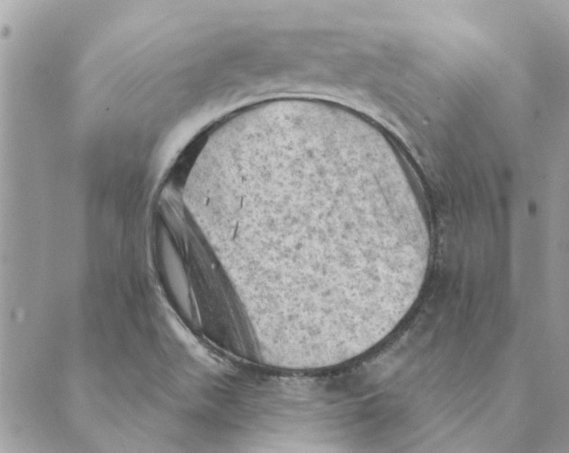 X0000088831511200707051409