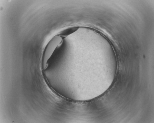 X0000088831512200707051409