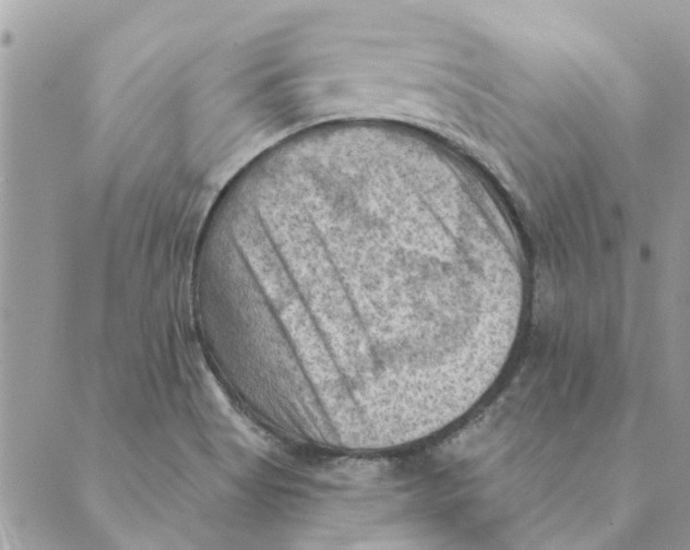 X0000088831513200707051409