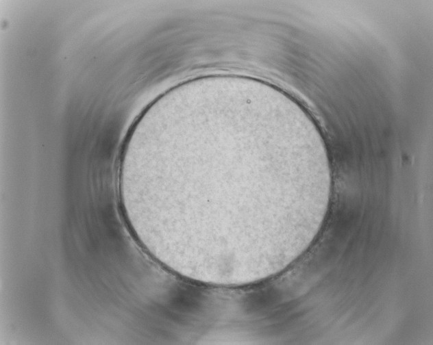 X0000088831514200707051409