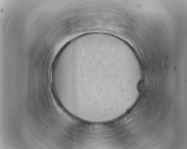 X0000088831515200707051409