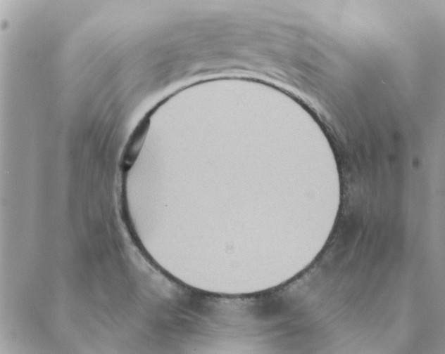 X0000088831518200707051409