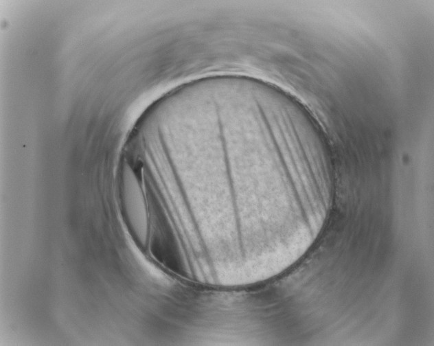 X0000088831519200707051409