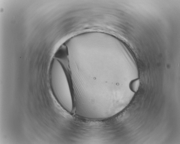 X0000088831522200707051409