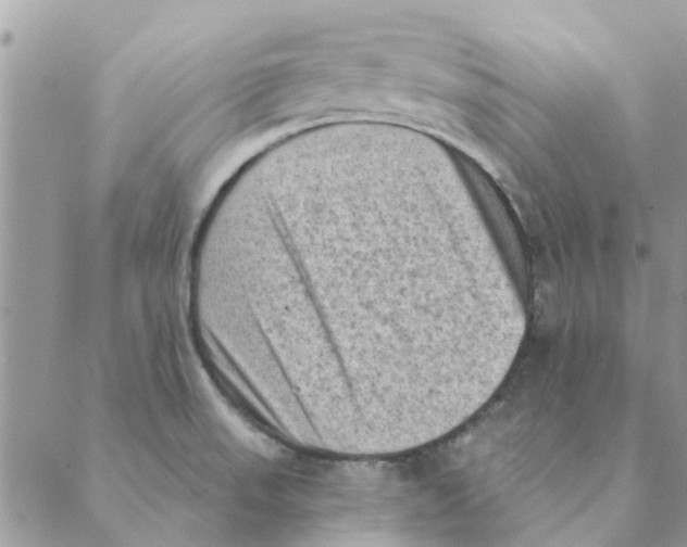 X0000088831523200707051409