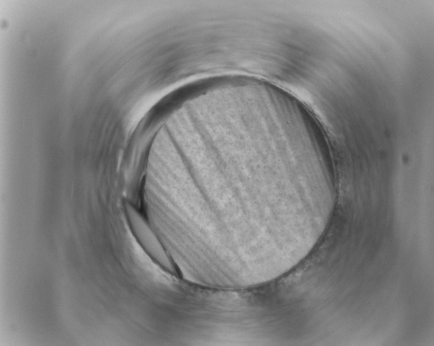 X0000088831524200707051409