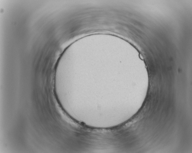 X0000088831526200707051409