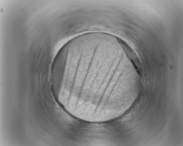 X0000088831527200707051409