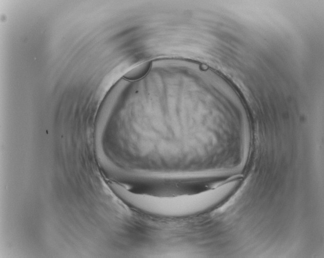 X0000088831529200707051409