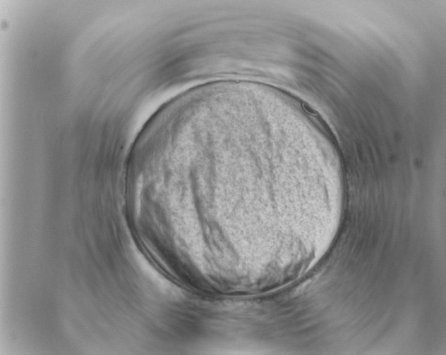 X0000088831531200707051409