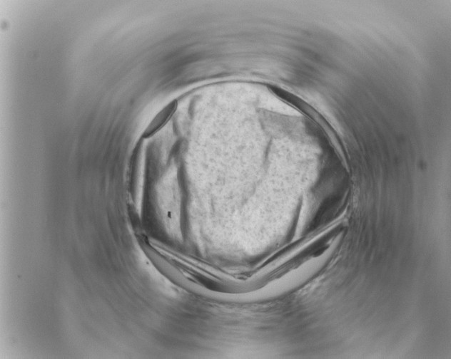 X0000088831532200707051409