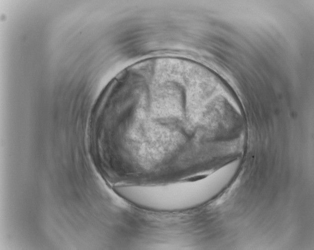 X0000088831533200707051409