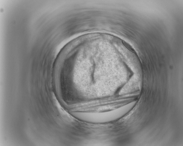 X0000088831534200707051409