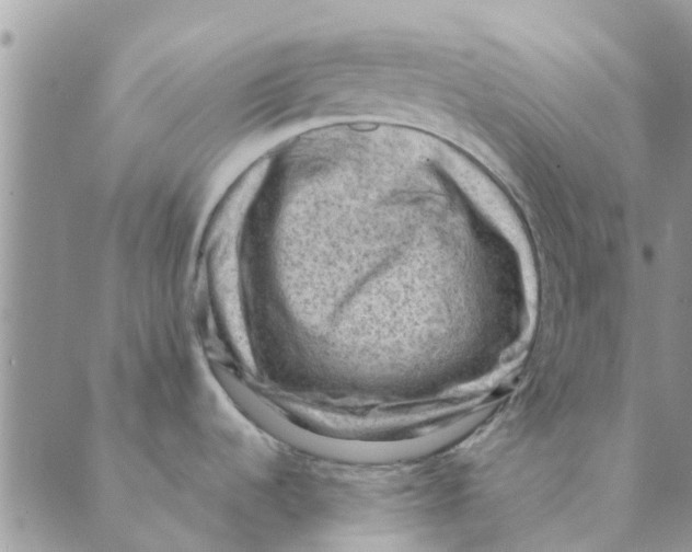 X0000088831536200707051409