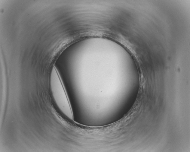 X0000088840013200706071202