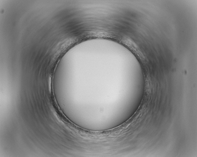X0000088840014200706071202