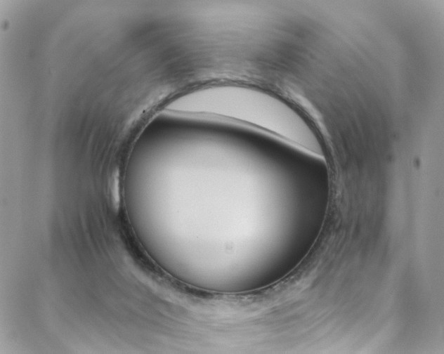 X0000088840020200706071202