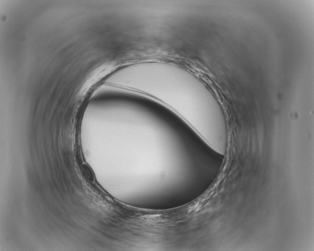 X0000088840054200706071201