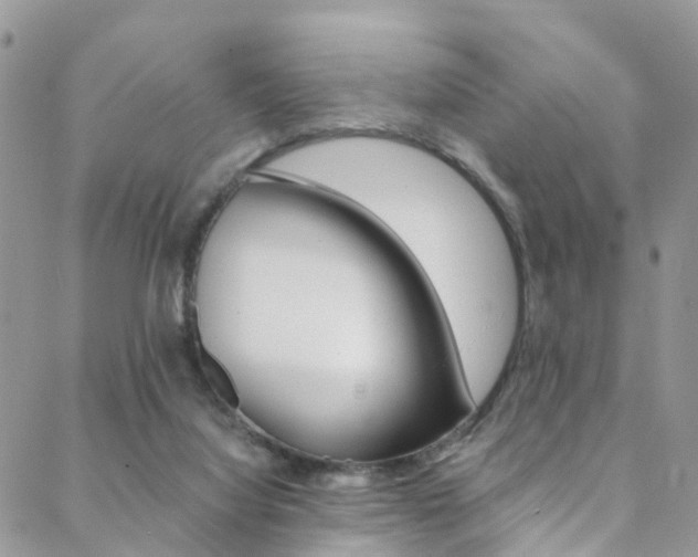 X0000088840068200706071201