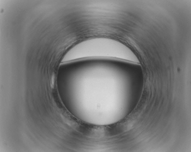 X0000088840076200706071201
