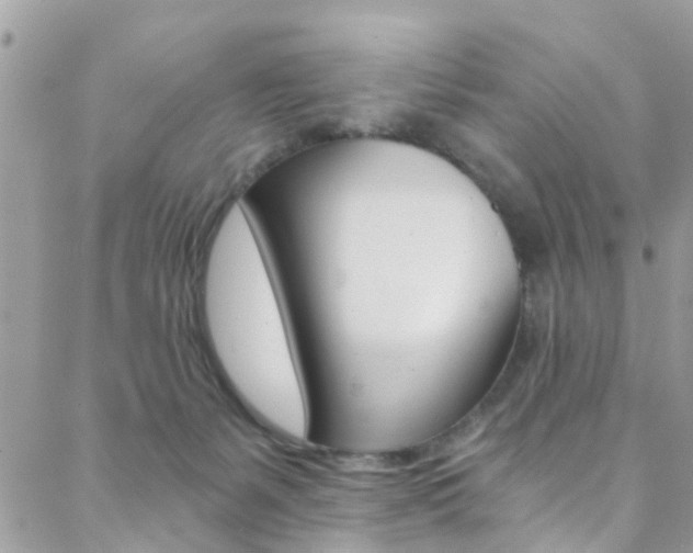 X0000088840127200706071200