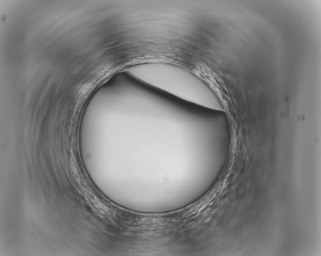 X0000088840145200706071159