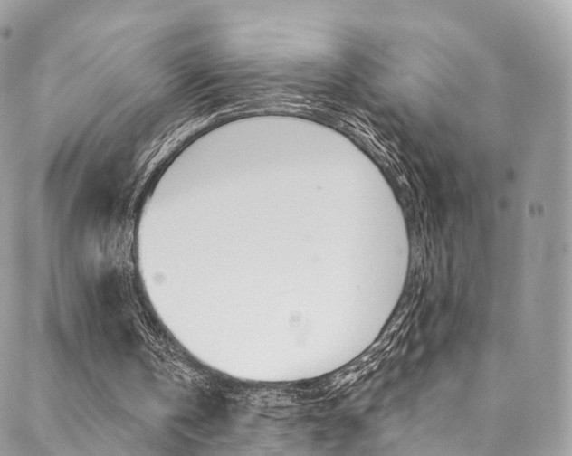 X0000088840146200706071159