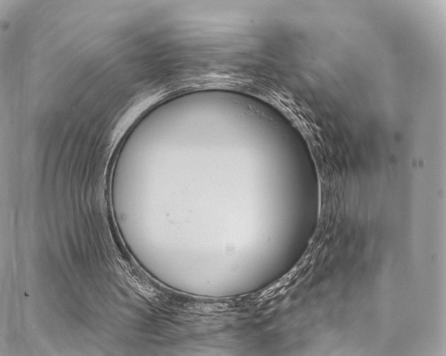 X0000088840147200706071159