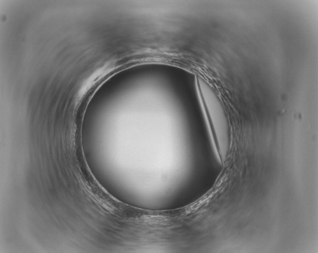 X0000088840150200706071159