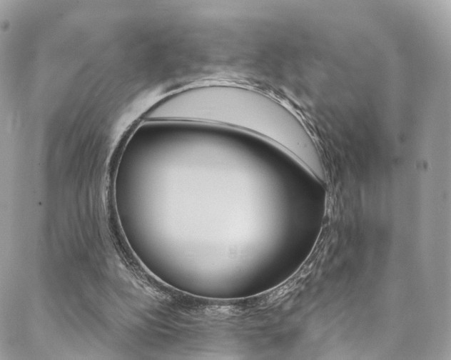 X0000088840152200706071159