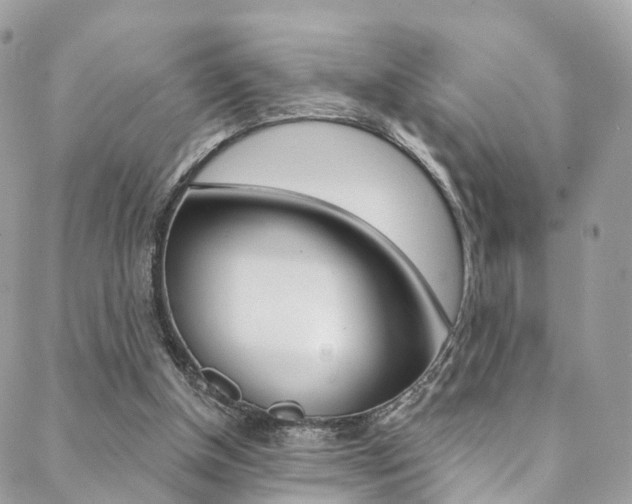 X0000088840154200706071159