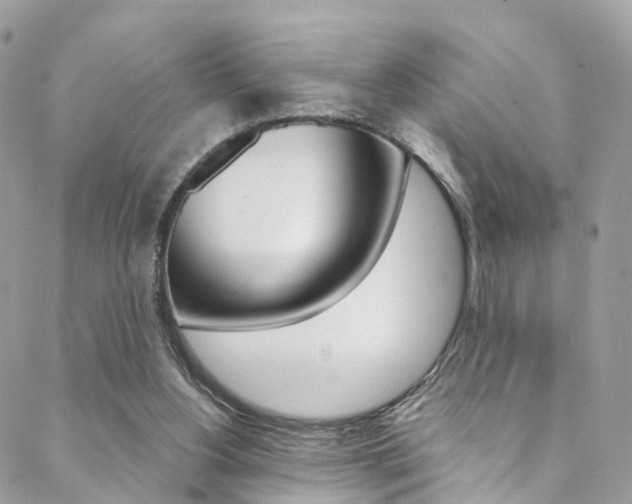 X0000088840156200706071159