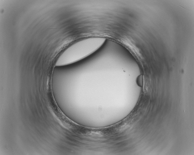 X0000088840157200706071159