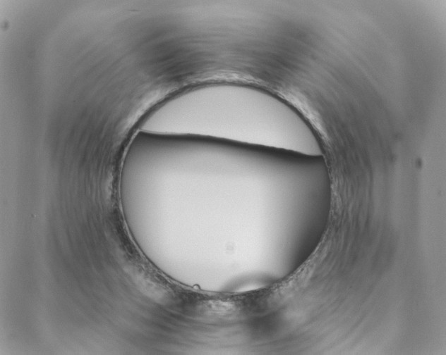 X0000088840159200706071159