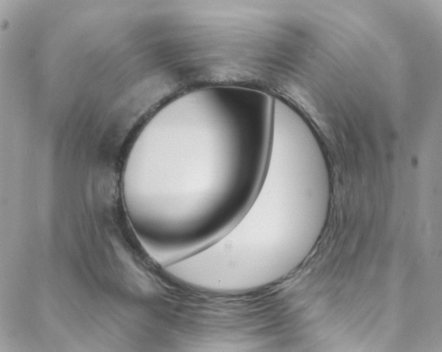 X0000088840164200706071159